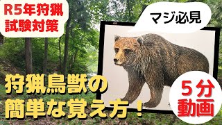 【狩猟試験】5分でわかる鳥獣判別クリアのポイントまとめました！