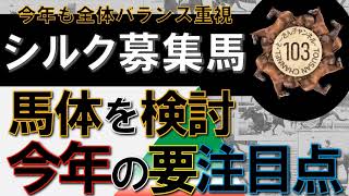 【一口馬主】シルク募集馬画像公開！まずは馬体の見方を再確認。今年も全体バランス重視で行きます！