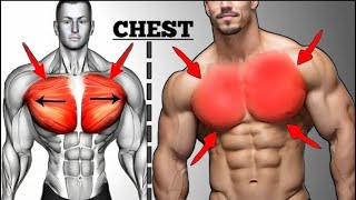 The Most Effective Chest Workout for Building Muscle | 8 BEST CHEST EXERCISES WITH DUMBELLS ONLY