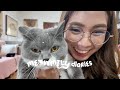 Meowmily Diaries | Unboxing Cat Essentials from Curious Pets