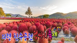 💐의령 친수공원 댑싸리축제🎉🎊