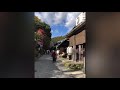 步行清涼寺 祉王寺 化野念佛寺 爱宕神社鳥居