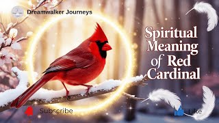 Spiritual Meaning of Red Cardinal | Messages from Heaven, Love & Divine Presence