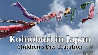 Koinobori in Japan: Children's Day Tradition