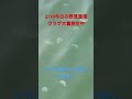 高知県須崎市野見漁港。 急上昇 釣り好き 高知 高知釣り ショアジギ 高知の釣り場 ヒラメ マゴチ 釣り初心者 釣り 堤防釣り サーフ フラットフィッシュ おかっぱり 青物 四国 釣行