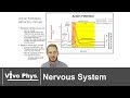 Nervous System