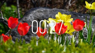 27 Second Timer with Music | Spring Timer🌹