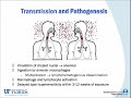 advanced concepts in pediatric tb clinical disease and evaluation