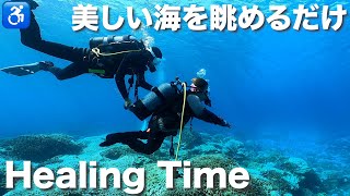 【奄美大島】海の中を音楽と共にただ眺めるだけの時間｜ハンディキャップダイビング