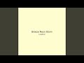 Breeze Neon Storm