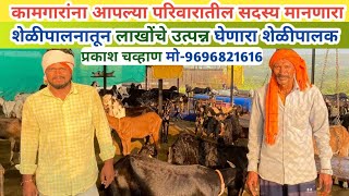 Chavan goat farm narayangavhan 9696821616