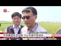 中南部稻熱病災情慘重 陳吉仲雲林勘災 2019 04 03 ipcf titv 原文會 原視新聞