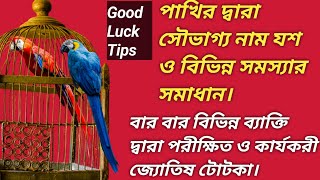 পাখির মাধ্যমে নাম যশ সৌভাগ্য ও বাধা বিঘ্ন দূর করার  জ্যোতিষ টোটকা। বিভিন্ন ব্যক্তি দ্বারা পরীক্ষিত।