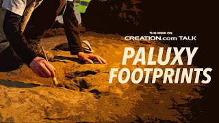 Paluxy Footprints