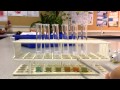 Benedict's test for Reducing Sugars Benedict's test for Reducing Sugars