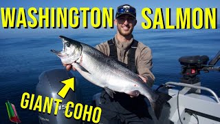 Washington State Salmon Fishing (GIANT COHO)