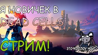 Впервые Играю в Dead Cells Прохождение (Первое впечатление) СТРИМ №1