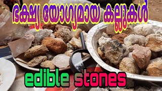 ഭക്ഷ്യ യോഗ്യമായ കല്ല്  edible stones  https://youtube.com/c/sanjustravelvibe