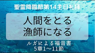 目白町教会礼拝2023年8月27日「人間をとる漁師になる」