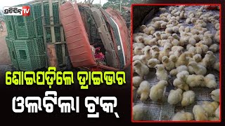 ଶୋଇପଡ଼ିଥିଲେ ଡ଼୍ରାଇଭର, ଓଲଟିଲା କୁକୁଡ଼ା ଟ୍ରକ , ୫ ଗୁରୁତର | PratidinTv