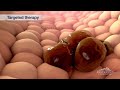 Breast Cancer Targeted Therapy Animation