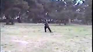 Sifu Luo Li - Stick Fighting technique