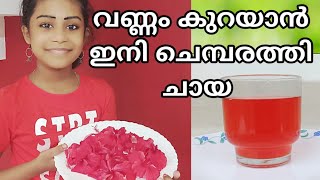 ചെമ്പരത്തി പൂവ് കൊണ്ട് ഒരു കിടിലൻ ചായ/Hibiscus Tea☕️