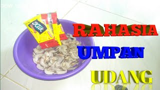 UMPAN UDANG + BISKUIT KLIK..