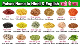 Pulses: Names in Hindi \u0026 English (Legumes, Lentils \u0026 Beans)