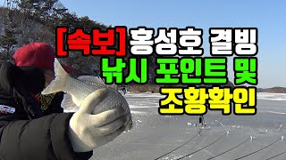 가온[붕어얼음낚시]Ver13. 2년을 기다린 홍성호얼음낚시.