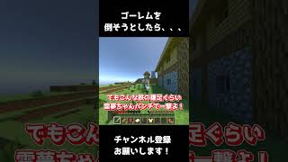 【マイクラ】ゴーレムを倒そうとしたら結果がやばすぎた#shorts #fyp #minecraft