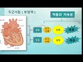 치료가 필요한 두근거림 부정맥 vs. 치료가 필요없는 두근거림