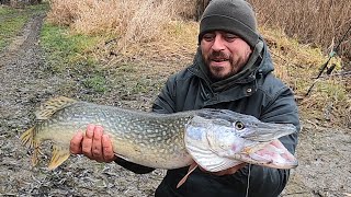 Știuci de record personal pe canalul Tătaru 🐟 PRIMA PARTE 🎣