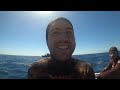 my first time diving coffs harbour wahoo tragedy