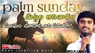 మట్టల ఆదివారం,PALM SUNDAY(ఆ రోజు వారు ఏమ్ చేశారో మనం అదే చేస్తున్నామా.?)@godsinspiringword