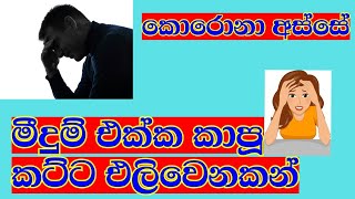 කොරෝනා අස්සේ පාන්දර වෙනකන් කාපූ කට්ට#Travel with corona