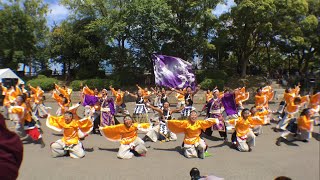 【2160p4K】2017/09/09 関西大学学生チーム''漢舞'' 大一番 第18回こいや祭り 極楽ステージ会場