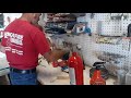 How to Recharge an Extinguisher