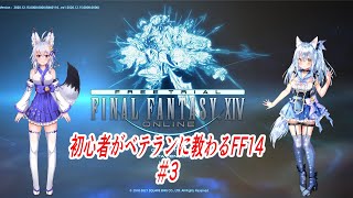 【FF14】狐夫婦、夫が妻に教わりながらすすめるFF14#3【VTuber】