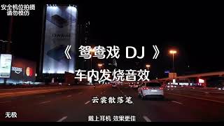 抖音音乐 鸳鸯戏 DJ