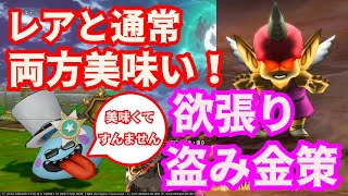 ドラクエ10【金策 盗み】サポとおどるほうせきで盗み金策！おにこぞう強　レアドロ、通ドロ両方美味い！【ドラクエ10】【金策】