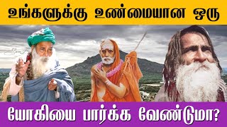 காஞ்சி பெரியவா நமக்கு அடையாளம் காட்டிய உண்மையான யோகி யார் என்று தெரியுமா? | Yogi Ramsuratkumar