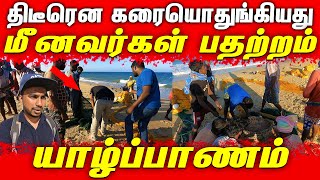 யாழ்ப்பாணத்தில் திடீரென கரையொதுங்கியது | மீனவர்கள் பதற்றம் | #jaffna