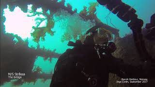 Narvik Diving Highlights - Narvik - Norway