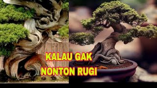 Inspirasi karya seni bonsai yang harus kamu tonton ❗