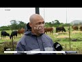 FMD Outbreak | Farmers call for urgent increase in vaccinations