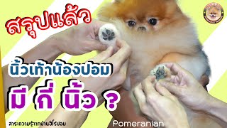 สรุปแล้วนิ้วเท้าของน้องปอม มีกี่นิ้ว??? สาระความรู้จากบ้านHero’s Pom