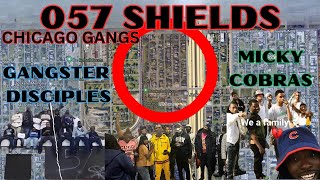 057 Shields: The Gangster Disciple and Micky Cobra Set Clashing with Lamron, Taytown, and MOB