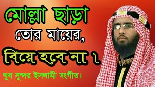 সিলেটি সংগীত | এই মোল্লা ছাড়া তর জানাযা কেউ পড়বে না | মোহাম্মদ বিন হাসিম |