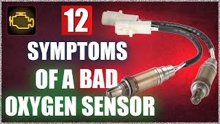 12 Symptoms of Bad Oxygen Sensor in Car (Faulty O2 Sensor Signs)